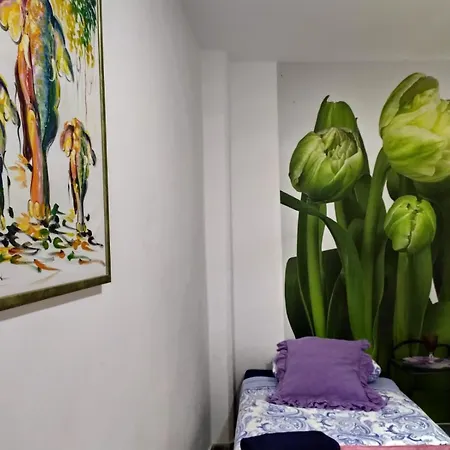 Hostal Centro Málaga